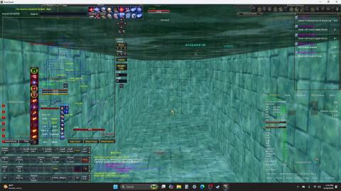 Everquest : An Injured Rat