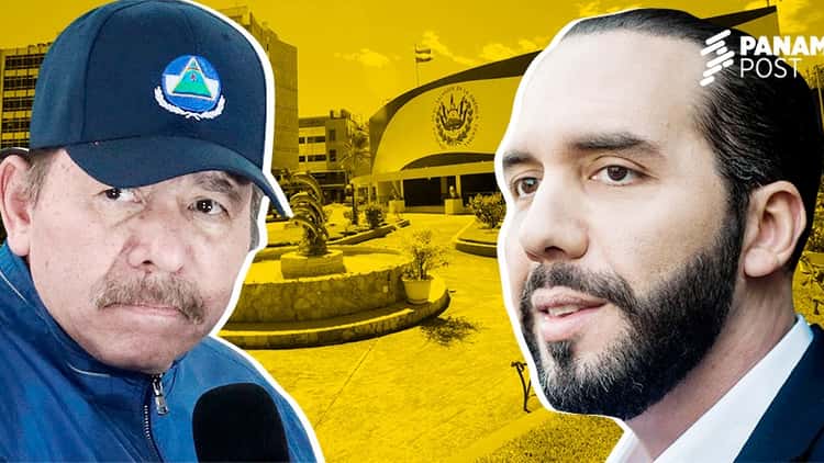 Bukele clona ley de Ortega para perseguir a varias ONG en El Salvador