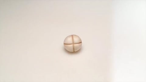 How to Quickly Make Mushroom Garnishes / Easy Cooking Tri...