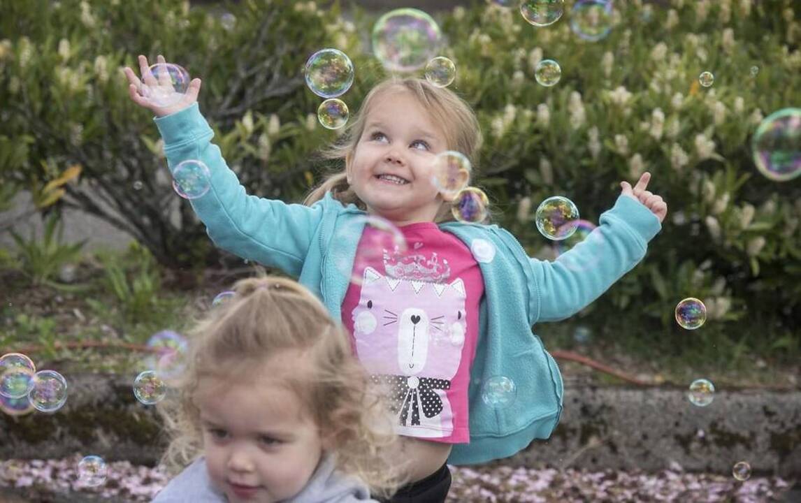 Lacey Spring Fair Is Full Of Family Fun Idaho Statesman Lacey spring fair is full of family fun idaho statesman
