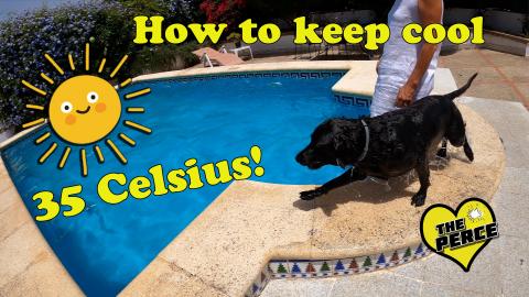 Percy beating the Spanish Heat