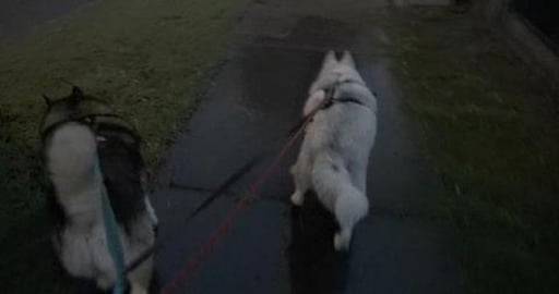 Getting darker in the mornings, also foggier