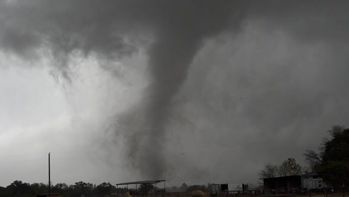 Tornadoes tear up trees near Sulphur Springs