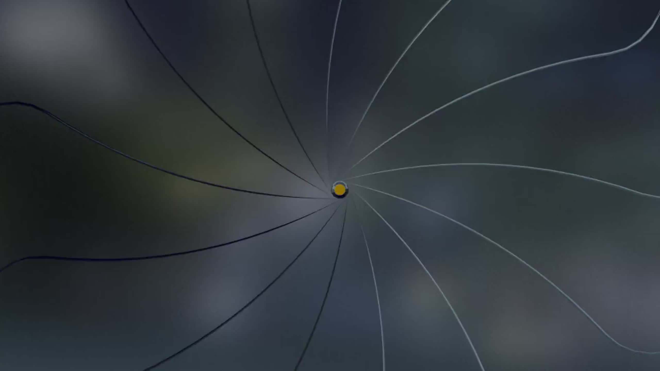 Rey Grupero habla mal de Raúl en LCDLF3