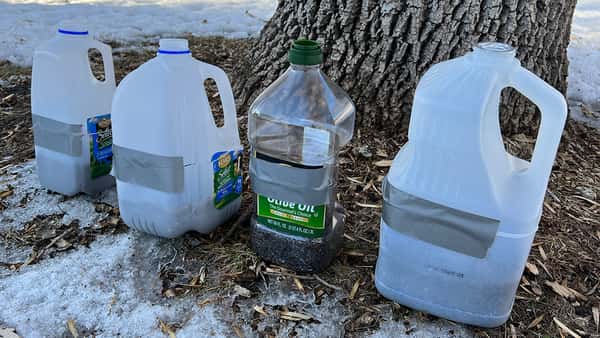 door and window weather seal door and window weather seal